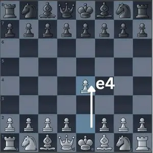 Understanding chess notations - A complete biginner's guide Understanding chess notations - A complete biginner's guide