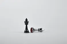 Collection Preview